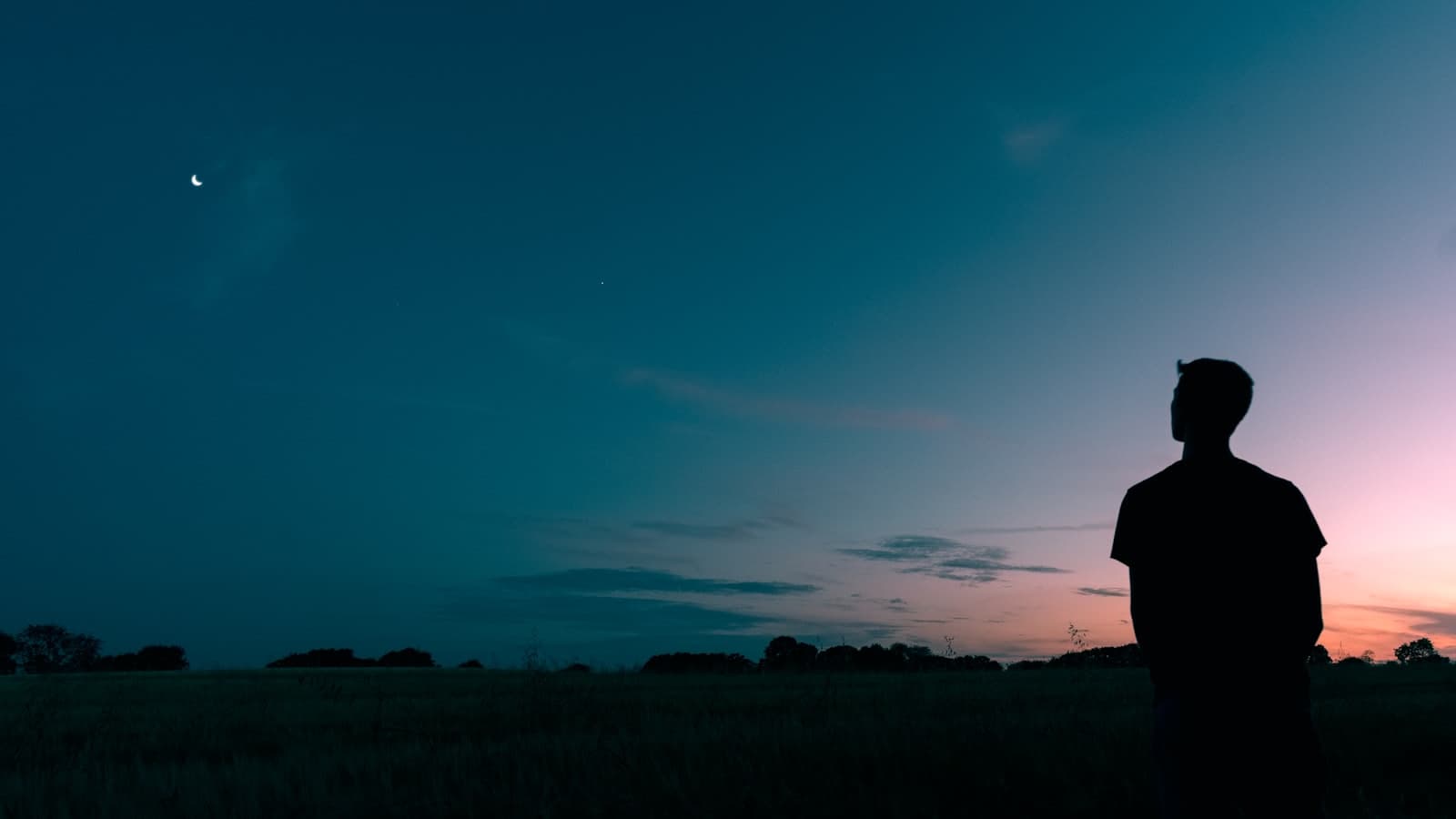 A lone figure standing in a field at dusk, looking toward a crescent moon on the horizon.